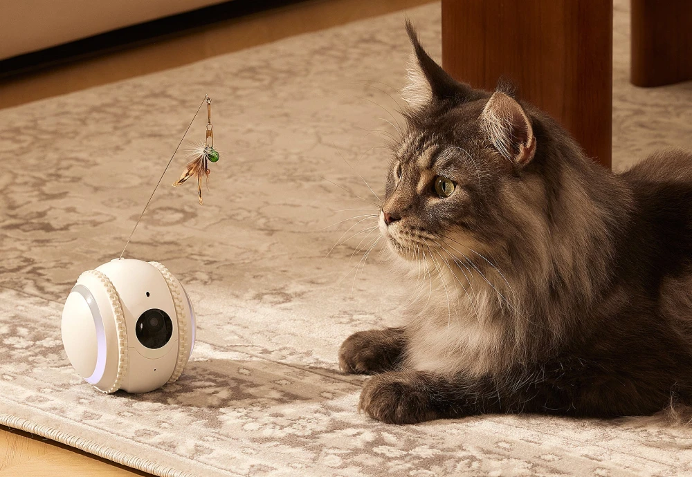 video camera for watching pets