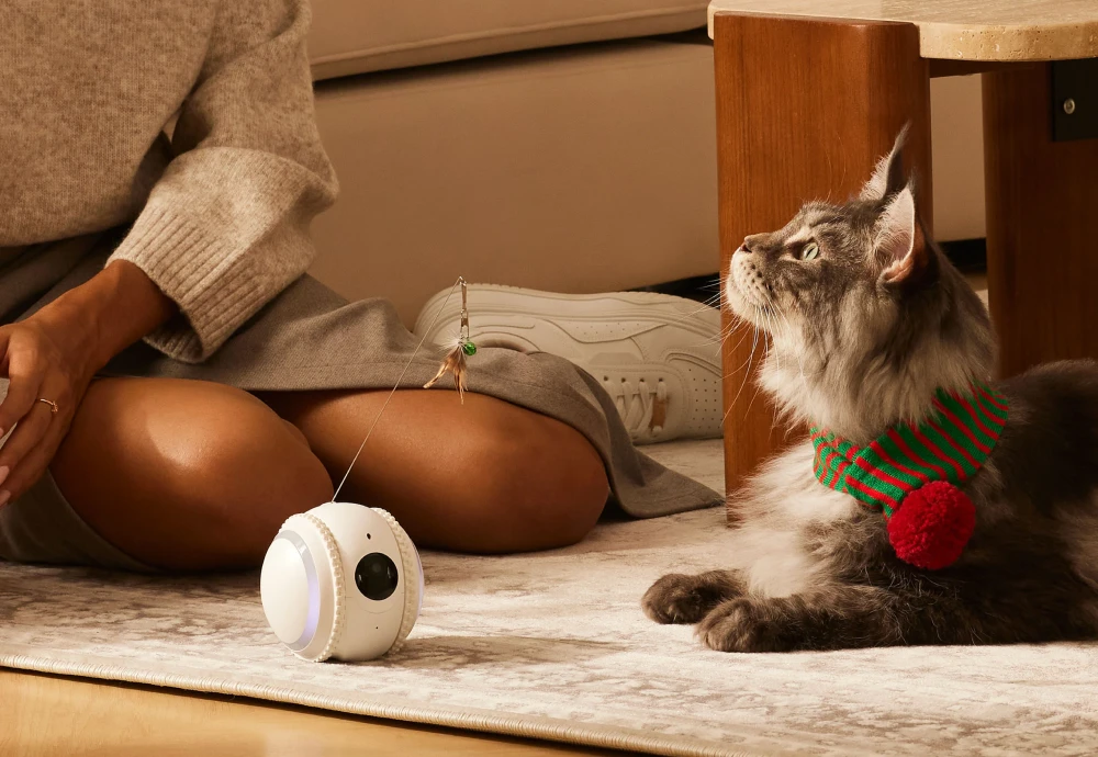 best pet security camera