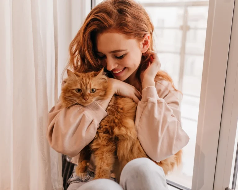 smart automatic pet feeder